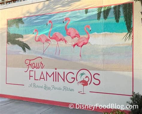 Four flamingos magical meal options
